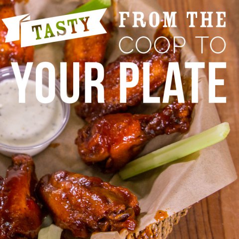 From the Coop to your Plate!